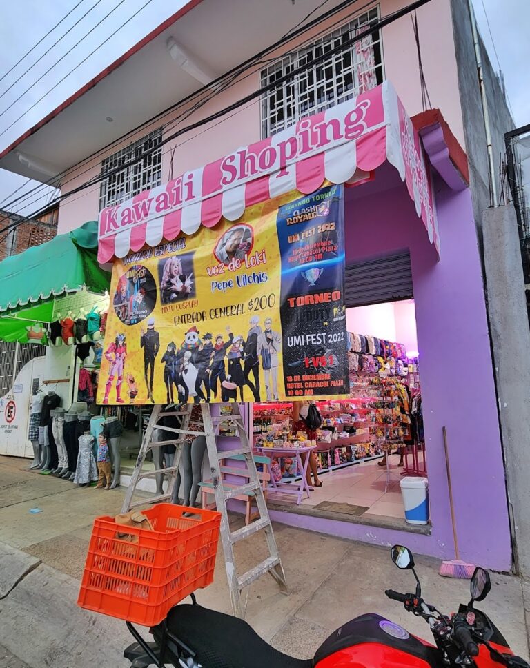 48708 kawaii shoping 768x968