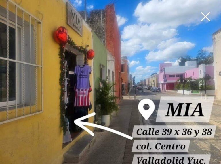 48811 detalles mia 768x573