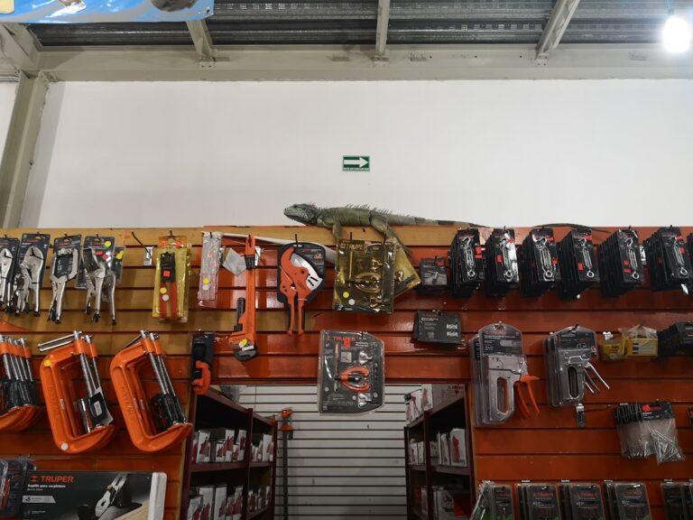 48896 la casa del carpintero 768x576