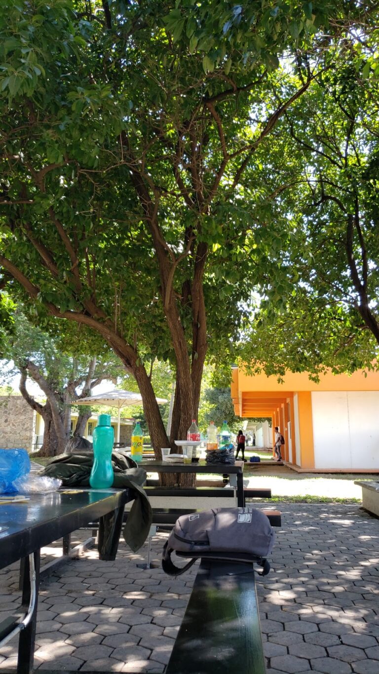 50101 facultad de ingenieria civil fic 768x1365