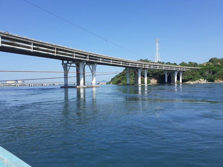 50145 ingenieria y obras del pacifico sa de cv 768x576