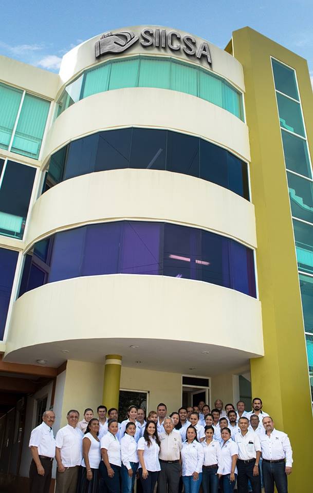 50339 servicios integrales de ingenieria y calidad