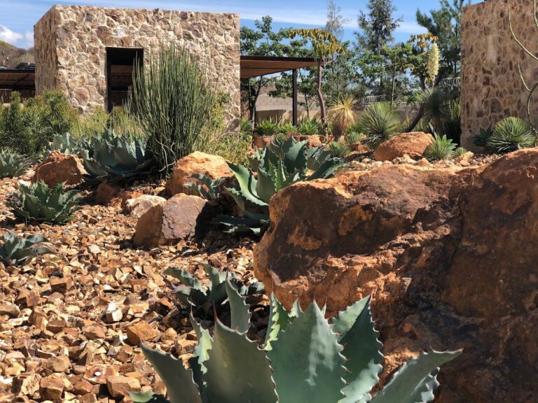 50413 nativo 768x576