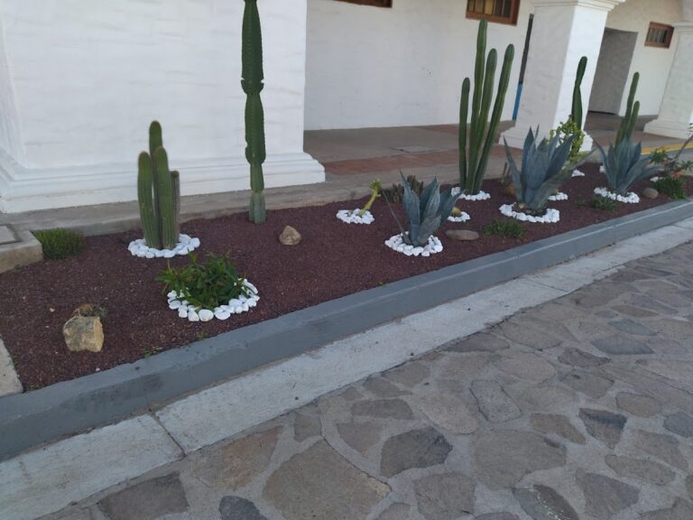 50423 jardineria diaz 768x576