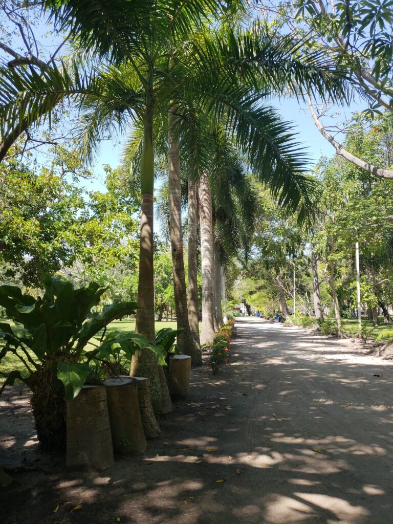 50440 jardin botanico unacar 768x1024