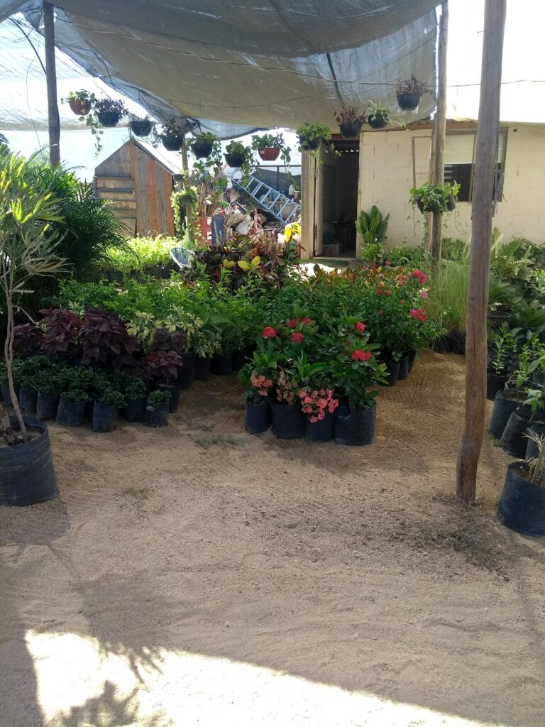 50462 quality landscapes 768x1024