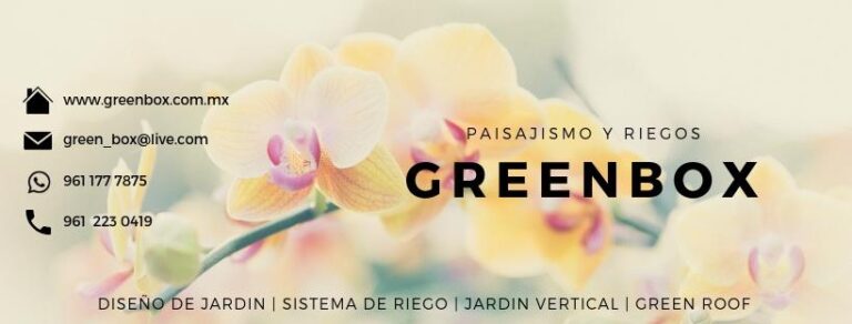 50468 greenbox paisajismo y riegos 768x292