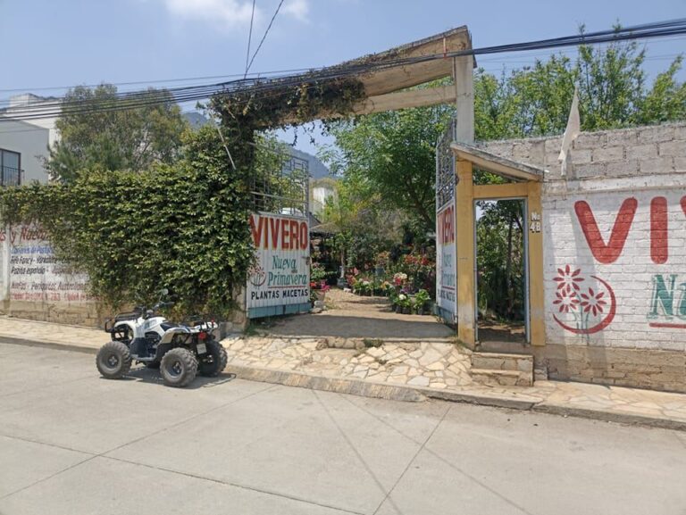 50474 viveros nueva primavera 768x577