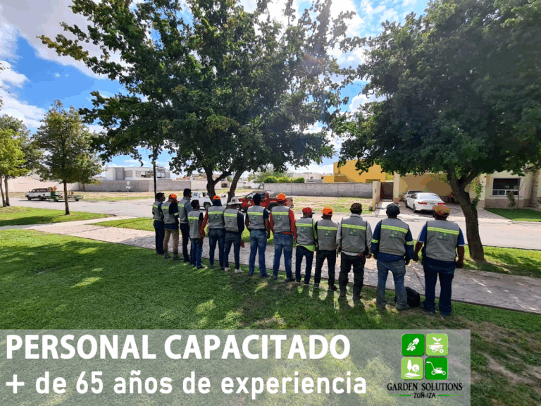 50490 garden solutions 768x576