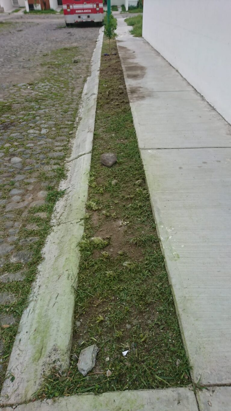 50516 jardineria moreno 768x1366