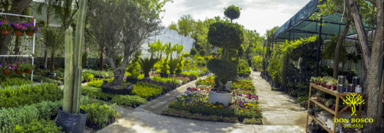 50522 don bosco avenida vivero 768x267