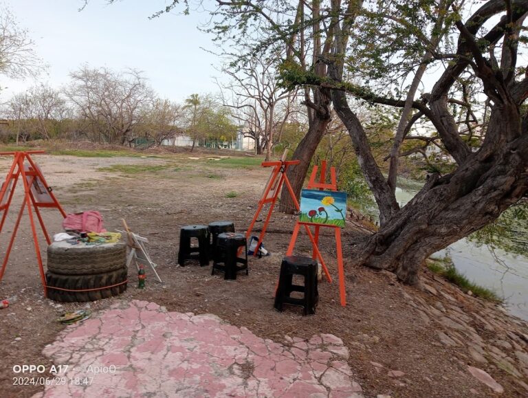 50539 arte y paisajismo 768x579