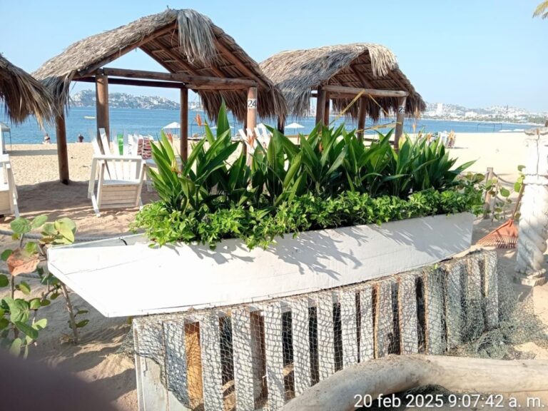 50550 jardineria yamamotos 768x576