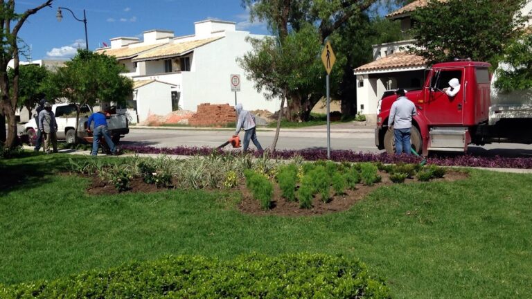 50554 paisajismo de alto nivel 768x432