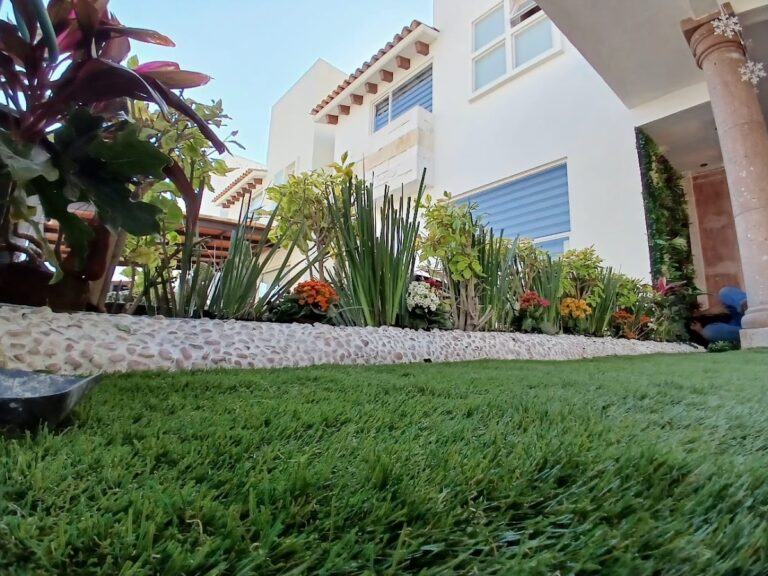 50557 hoja life 768x576