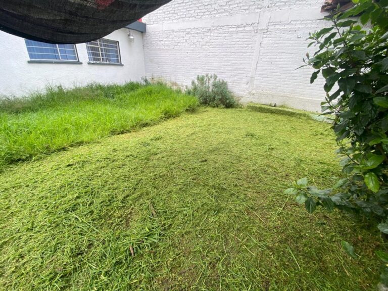 50559 dm garden 768x576