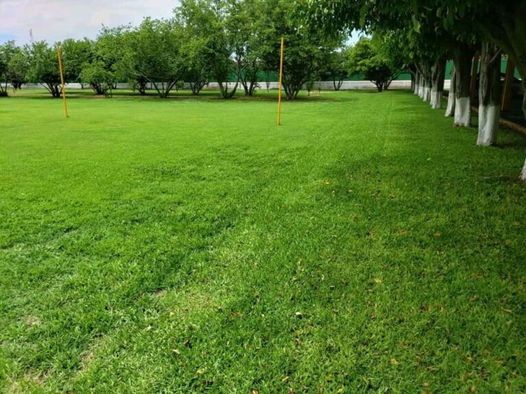 50561 jardineria profesional 768x576