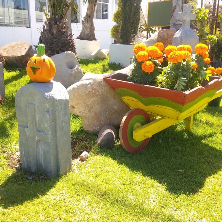 50572 jardineria distintiva paisajismo 768x768