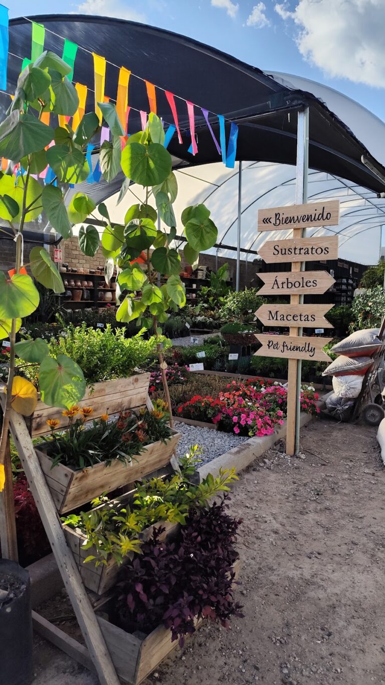 50580 viveros lamas 768x1365