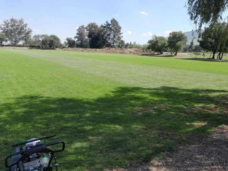 50601 el rio pastos chavira 768x576