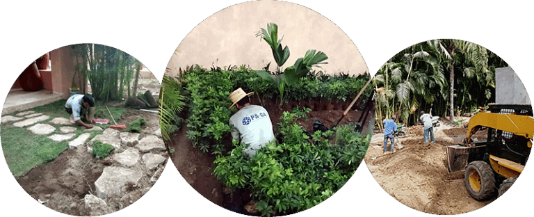 50617 jardin arte 768x312