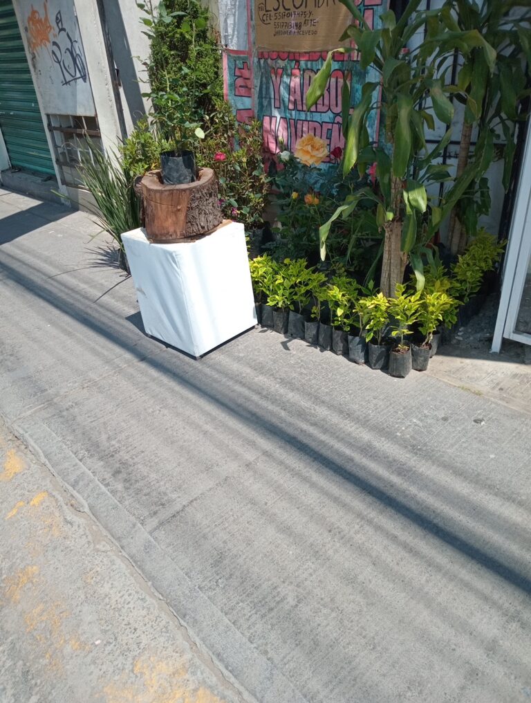 50635 jardineria en general sr. alfonso acevedo 768x1016