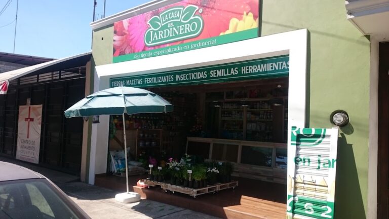 50646 la casa del jardinero 768x432