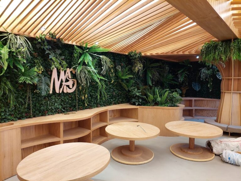 50657 marginata.com .mx  768x576