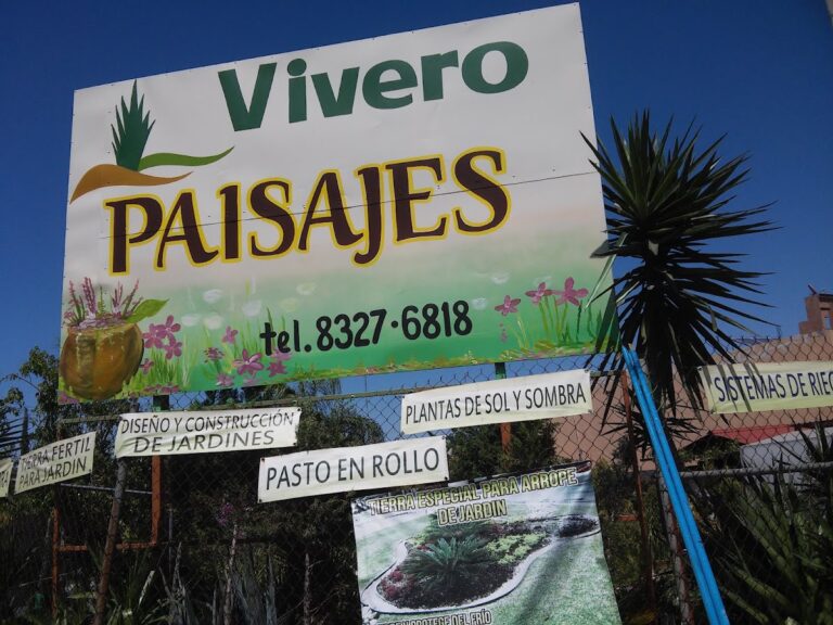 50699 vivero paisajes 768x576