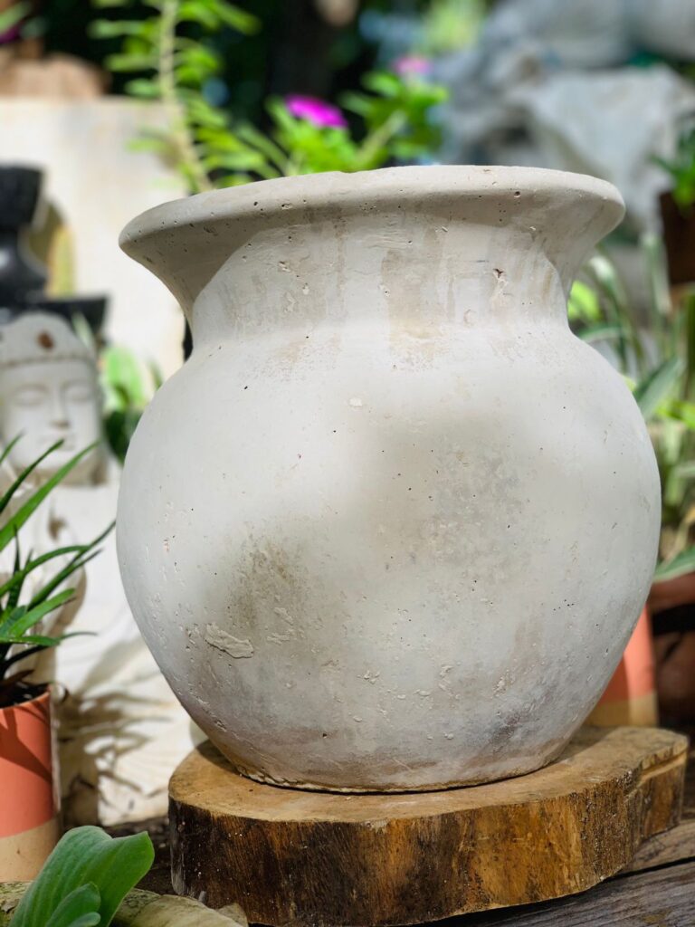 50704 vivero paisajismo orquideas tulum 768x1024