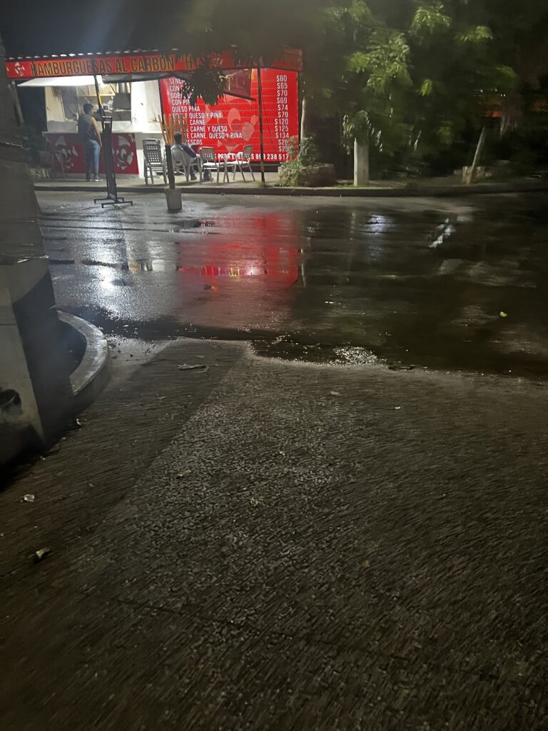 50734 grupo plantec 768x1024