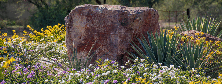 50739 paisajismo sonora 768x292
