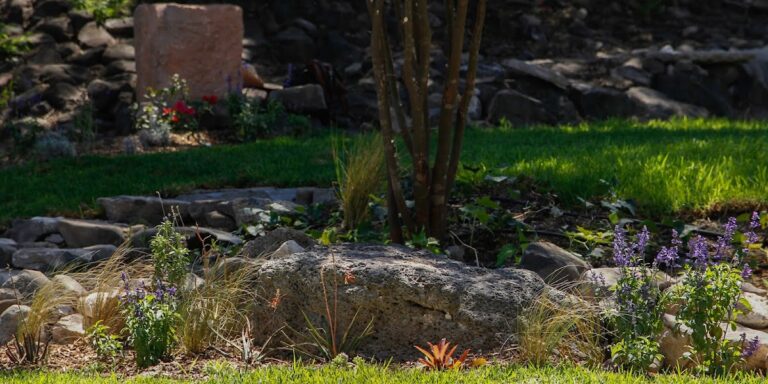 50754 paisare paisajismo y arquitectura 768x384