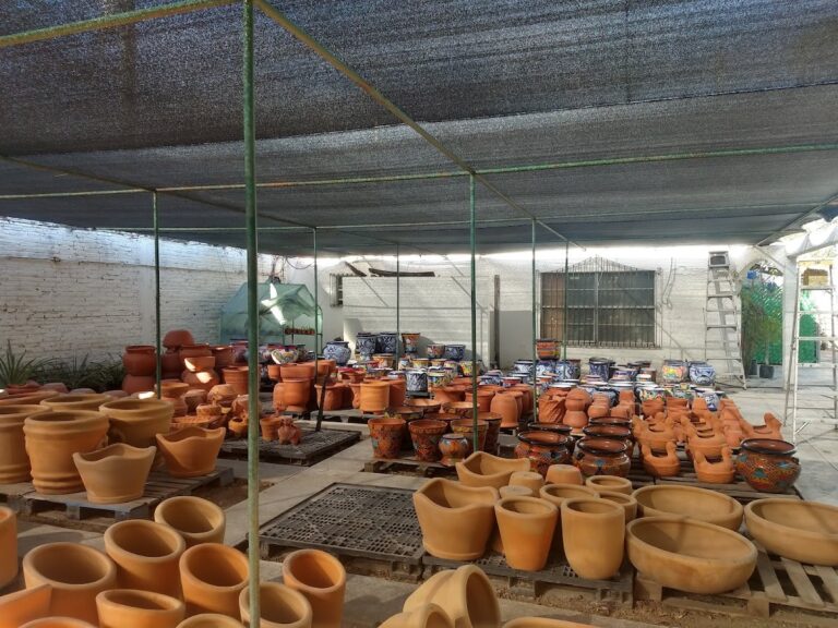 50778 vivero mi jardin 768x576