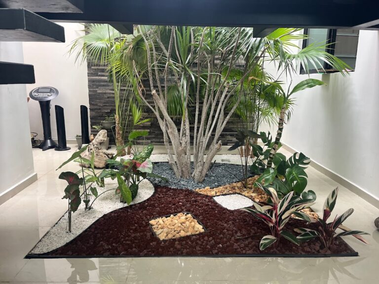 50802 mi jardin mx 768x576