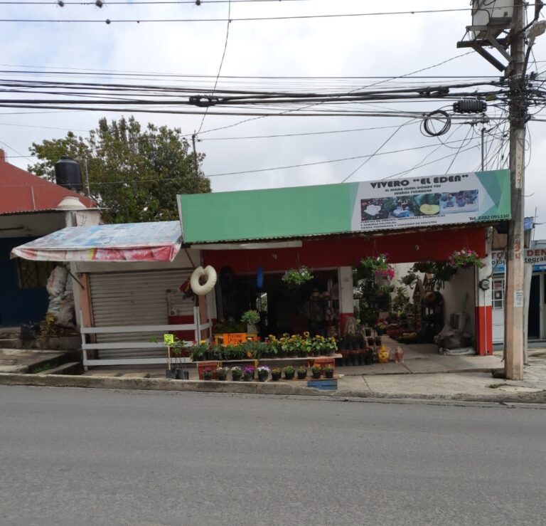 50825 vivero el eden 768x739