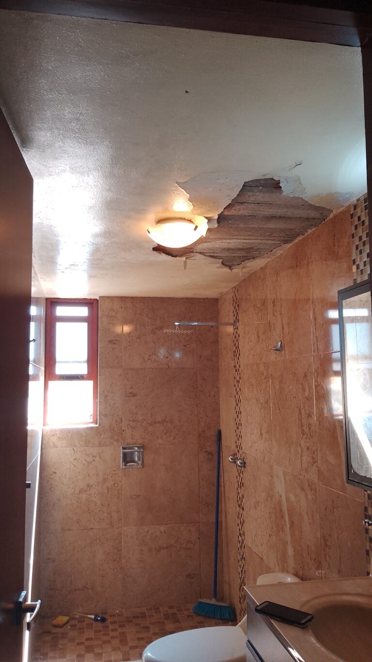 50960 sg decorador de interiores 768x1365