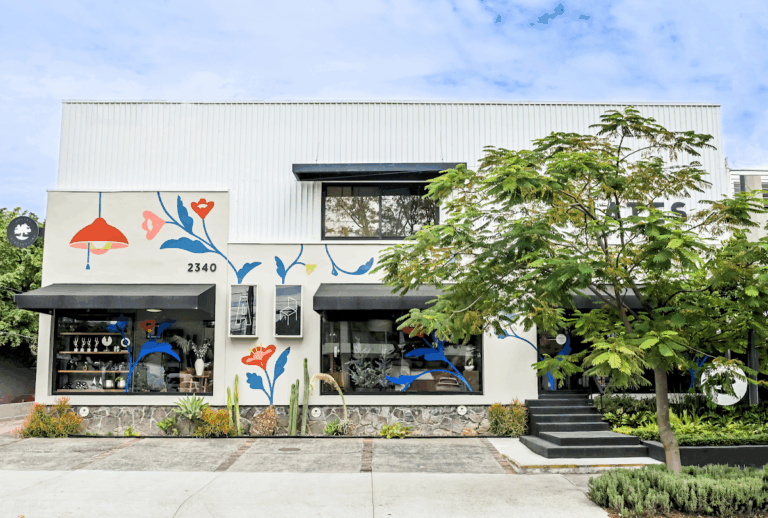 51019 amates 768x518