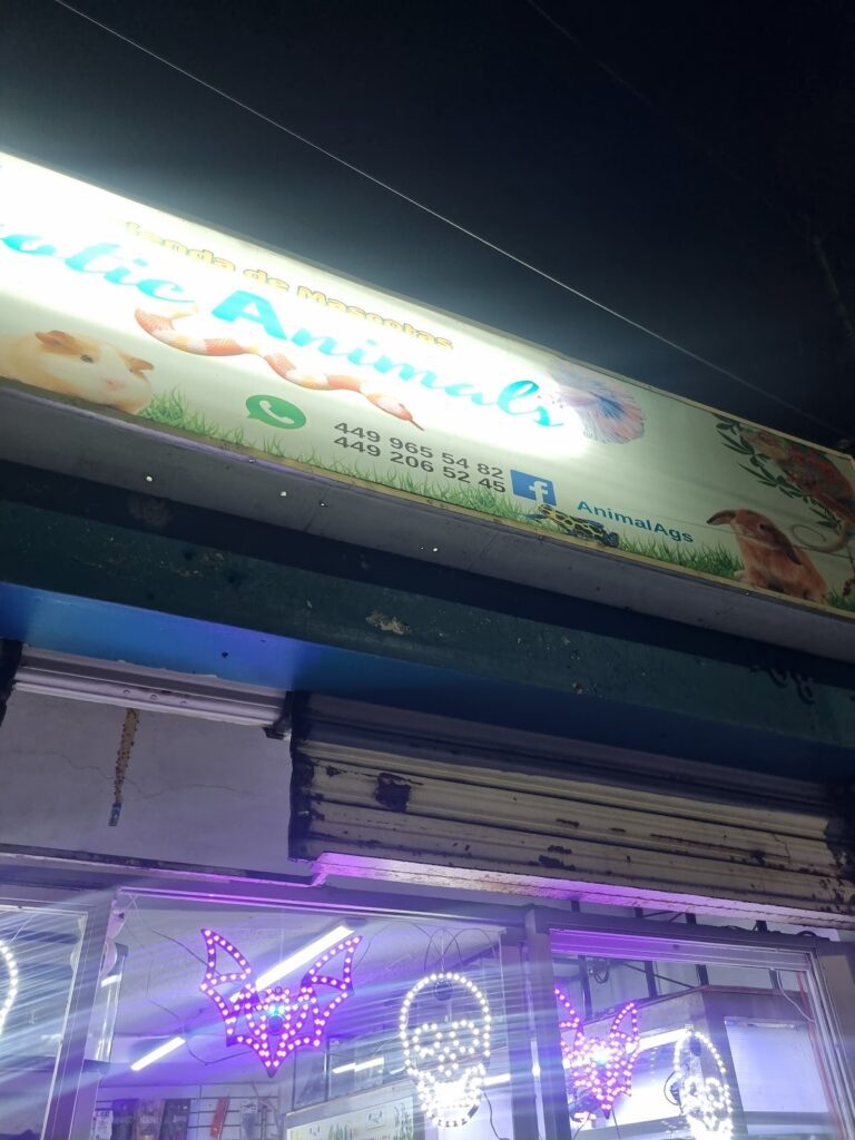 51319 exotic animals 768x1024