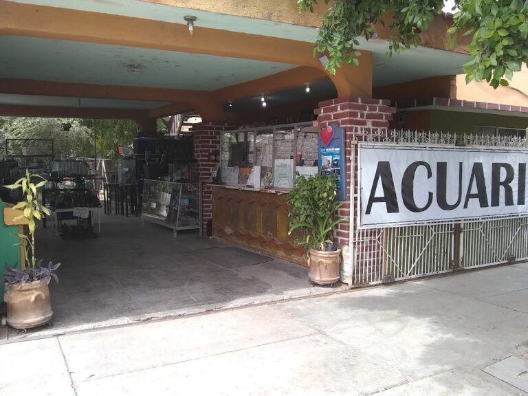 51341 peces y mas 768x576