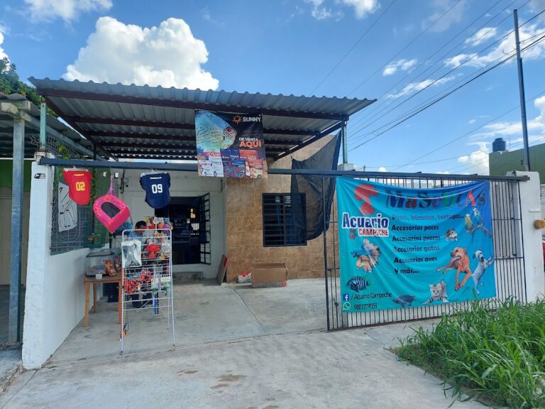 51356 tienda de mascotas y acuario campeche presidentes 768x576