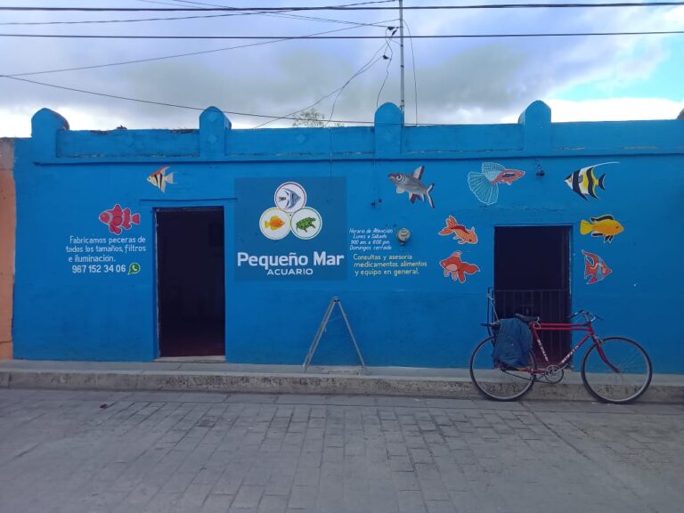 51375 acuario pequeno mar 768x576