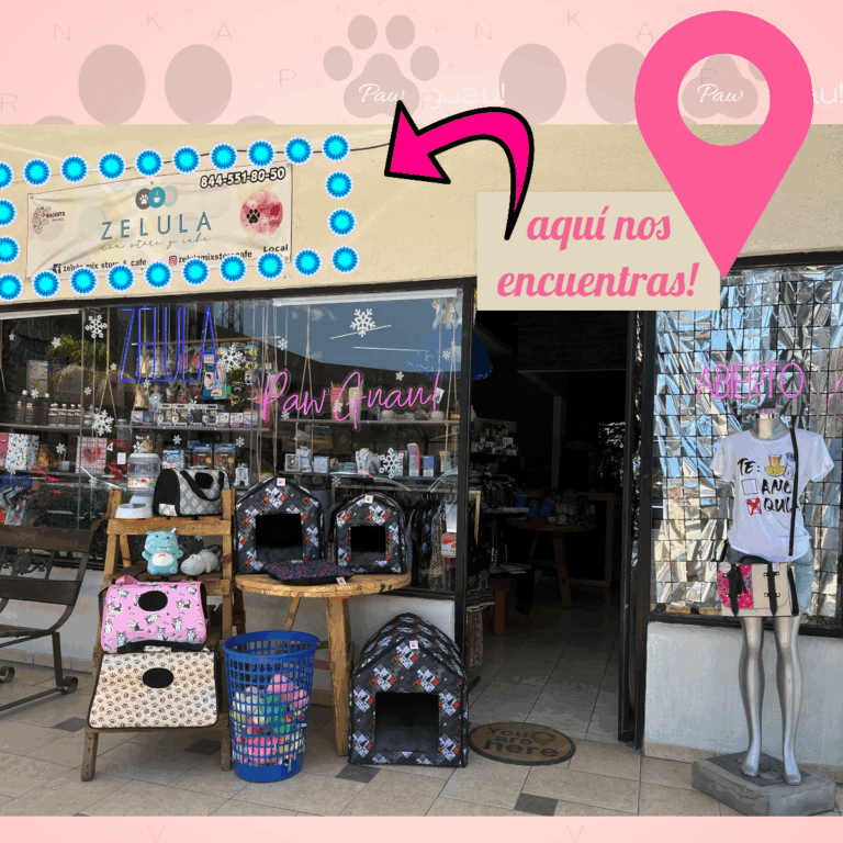 51385 paw guau 768x768