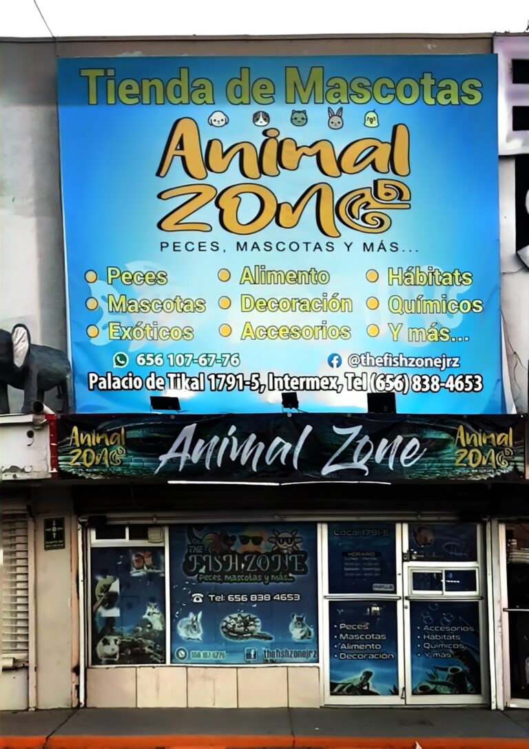 51387 animal zone 768x1086