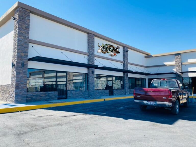 51401 petz tienda de mascotas 768x575