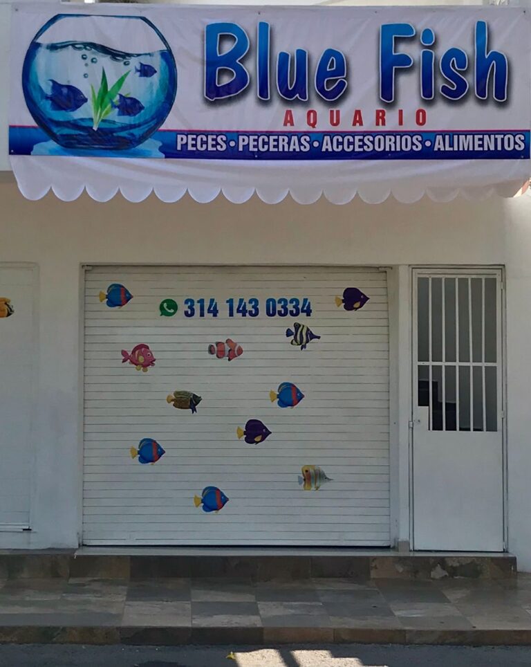 51431 acuario blue fish 768x964