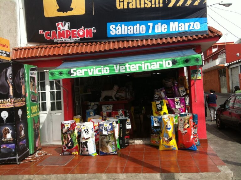 51455 tienda el campeon 768x573