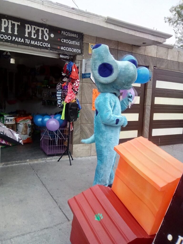 51457 tienda de croquetas y accesorios pit pets 768x1024