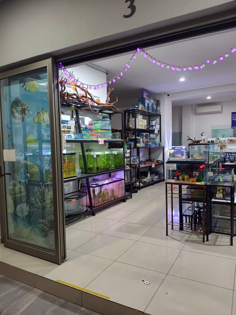 51484 acuario galaxy 768x1024