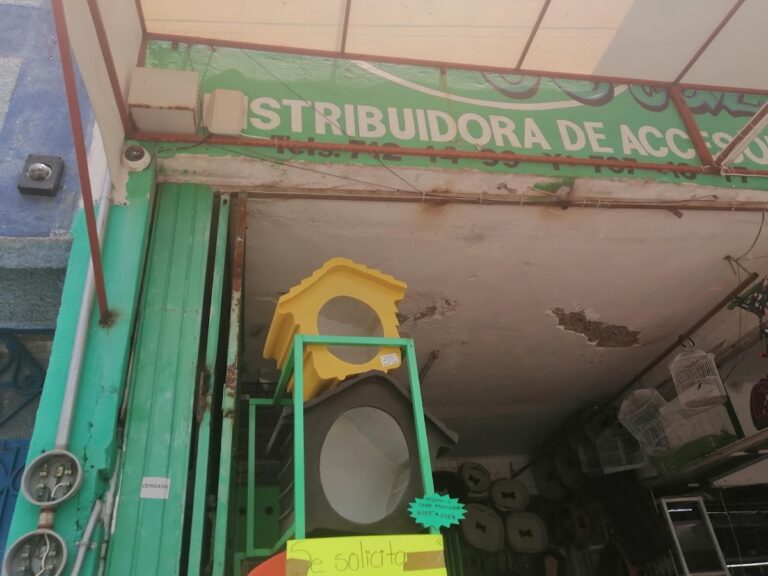 51499 mazcotaz leon 768x576